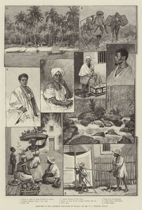 Luonnokset Brasilian pohjoisissa provinsseissa